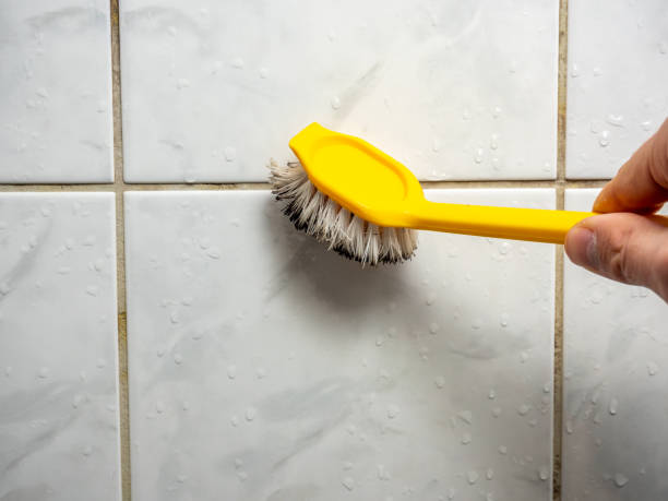 Best Best Mold Removal Companies  in Lake City, GA