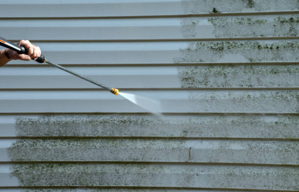 Best Commercial Mold Removal  in Lake City, GA
