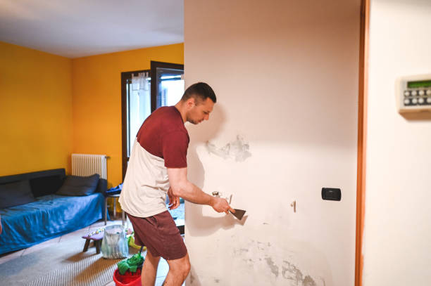 Best Emergency Mold Removal  in Lake City, GA