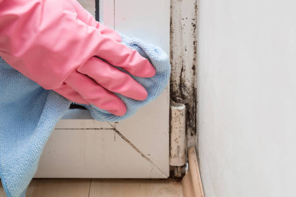 Best Residential Mold Removal  in Lake City, GA